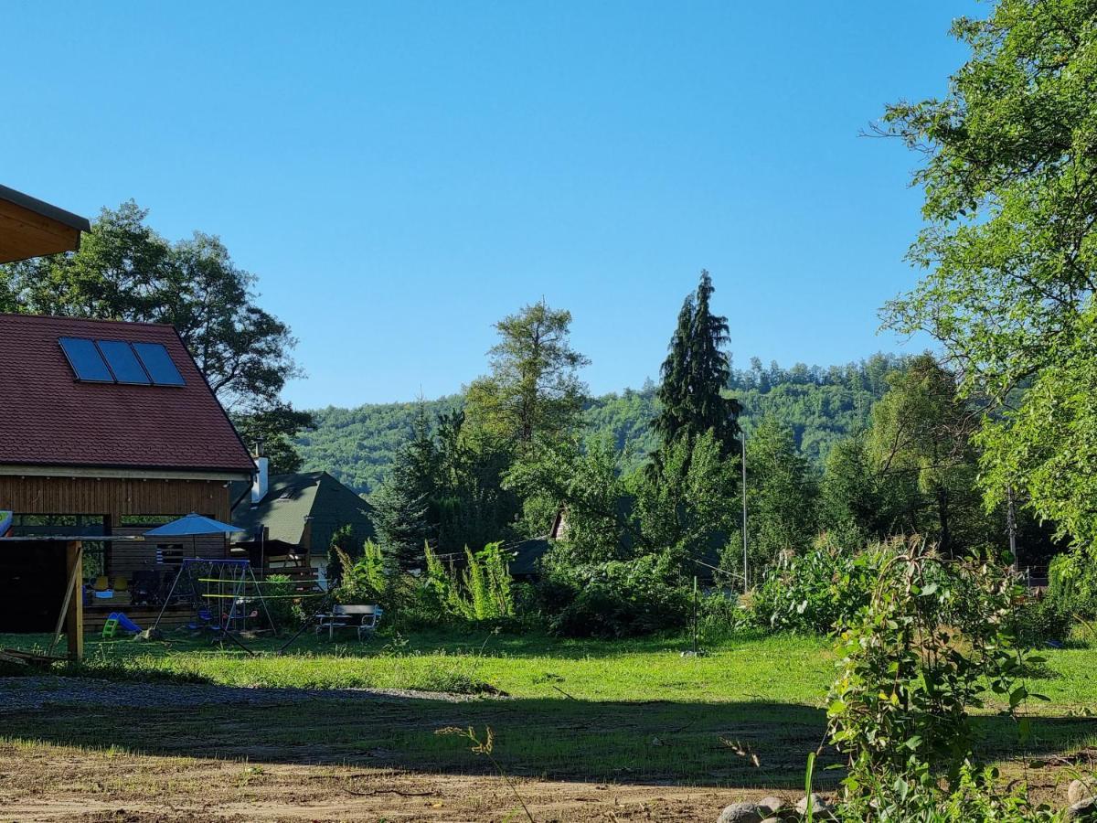 Bed and Breakfast Aster Panzio Cîmpu Cetăţii Exterior foto
