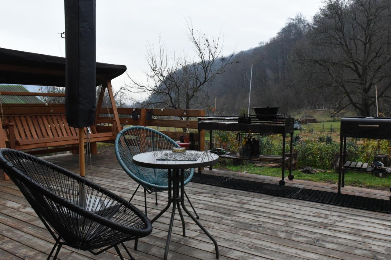 Bed and Breakfast Aster Panzio Cîmpu Cetăţii Exterior foto