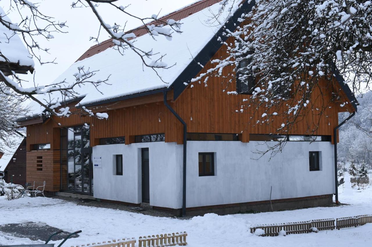 Bed and Breakfast Aster Panzio Cîmpu Cetăţii Exterior foto